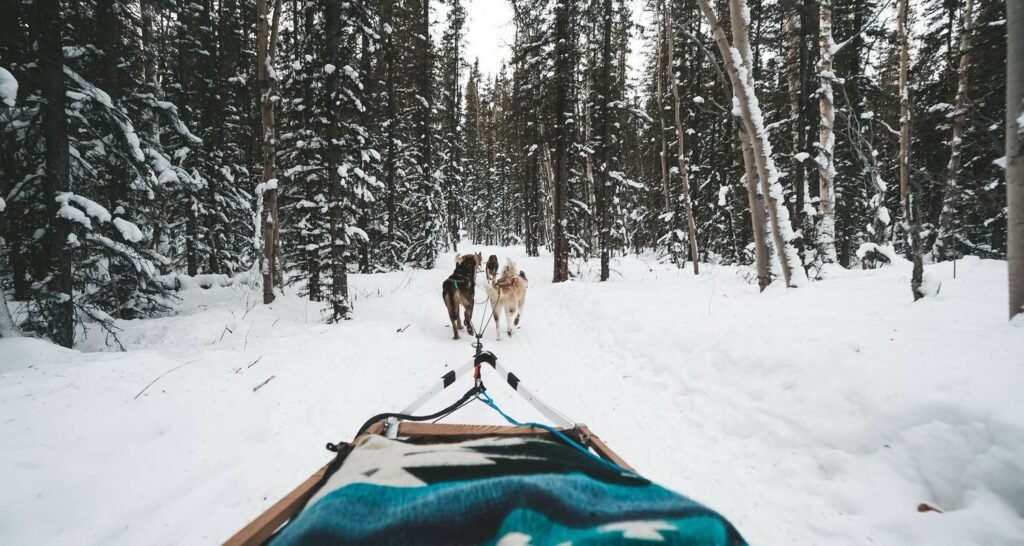 Yukon Deluxe Winter Northern Lights Tour