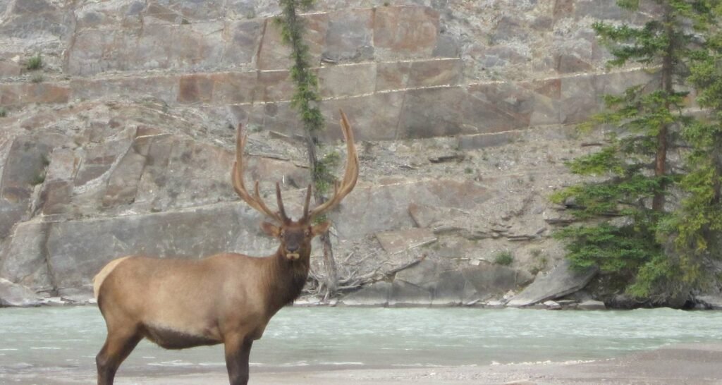 Canadian Rockies