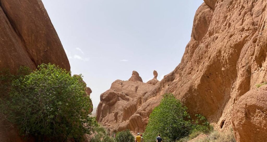 Sahara Fun Outdoor Experience